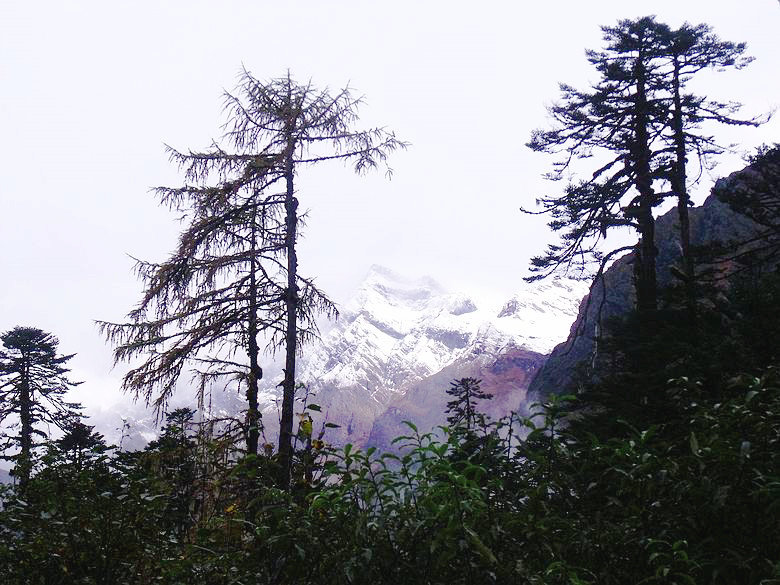 dscf9089.jpg