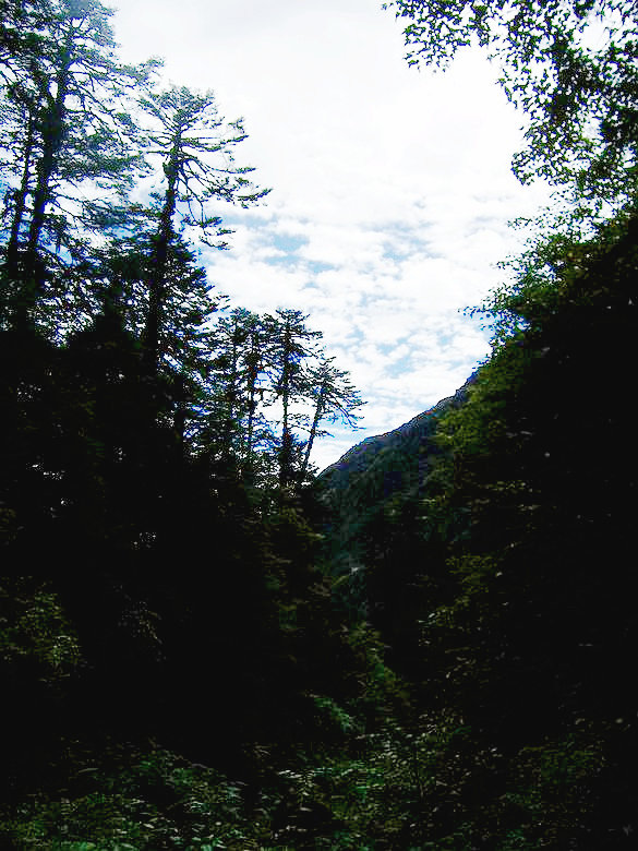 100_9438_.jpg