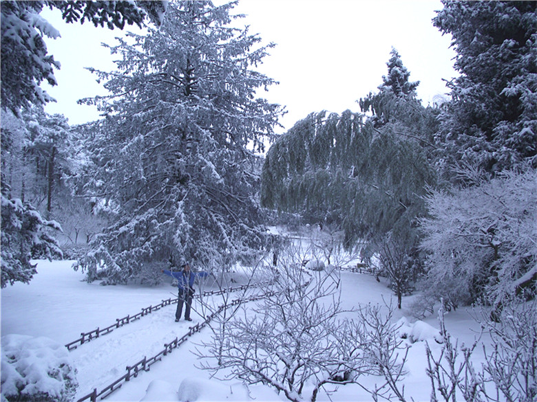 2011_01230075_.jpg