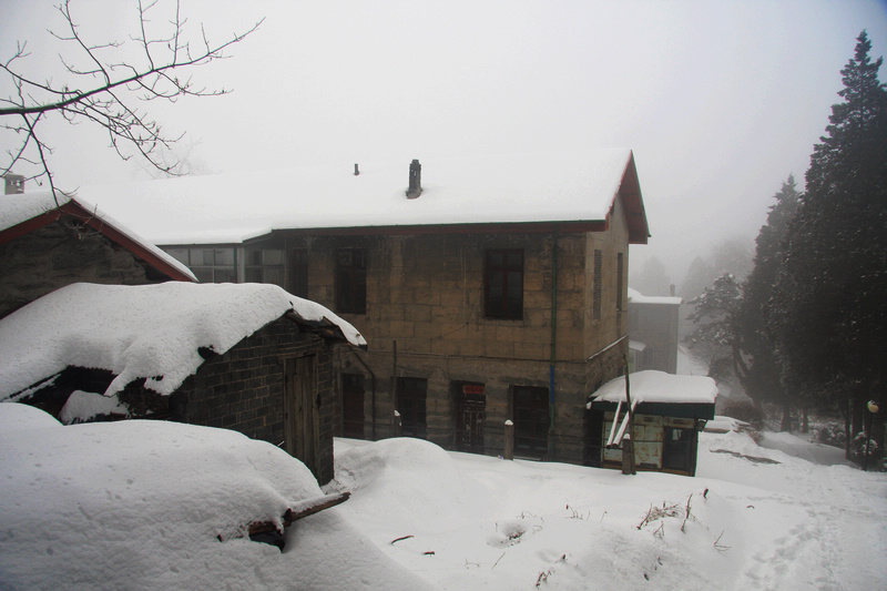 img_1633a.jpg