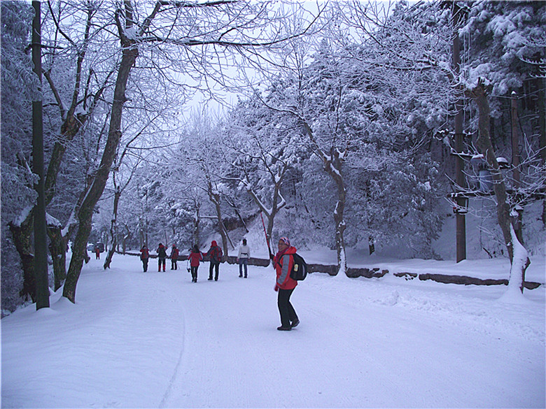 2011_01230047_.jpg
