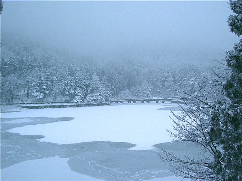2011_01230052_.jpg