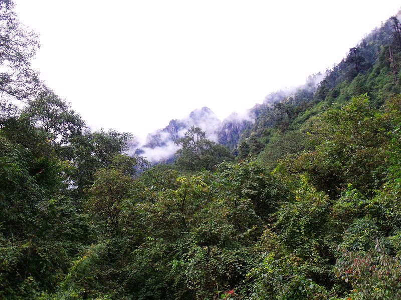 dscf9099.jpg