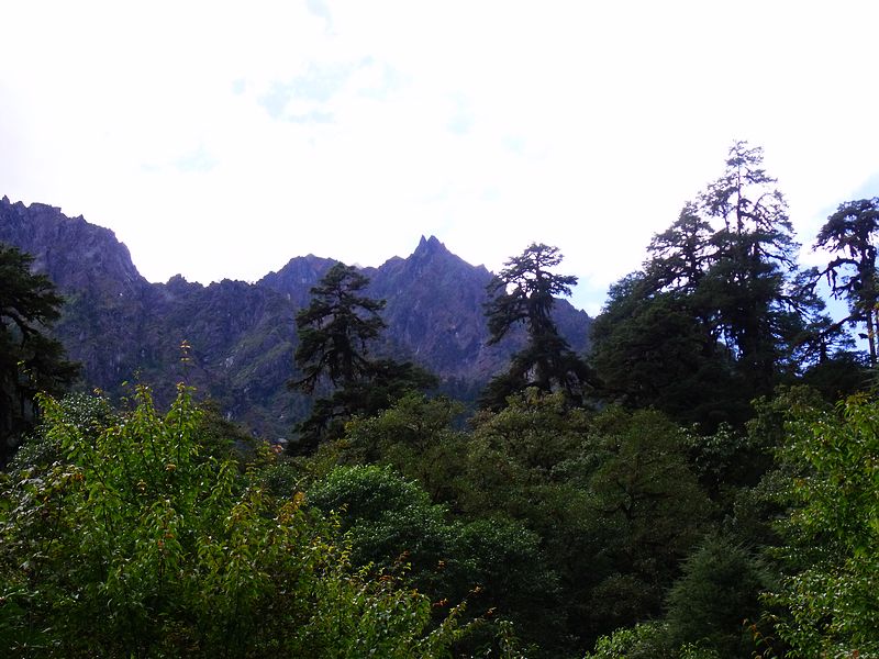 dscf9101.jpg