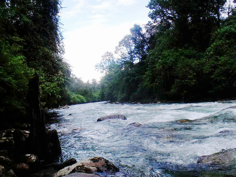 dscf9104.jpg