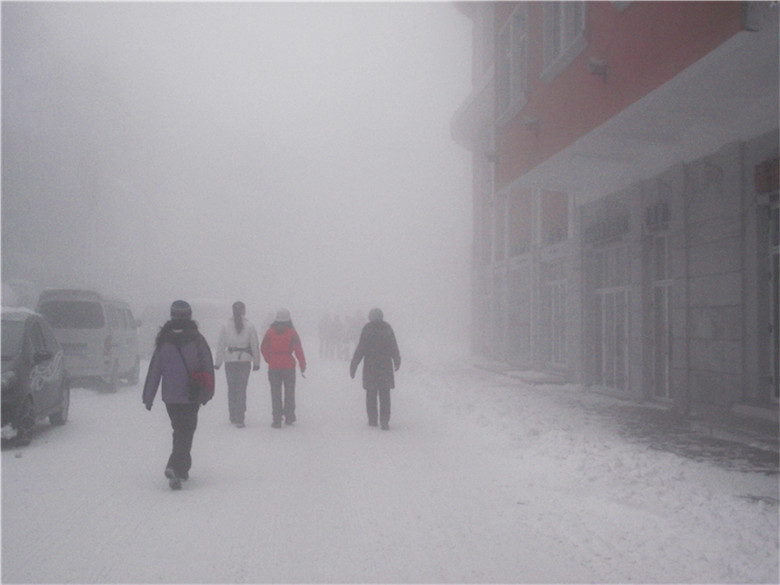 2011_01230239_.jpg