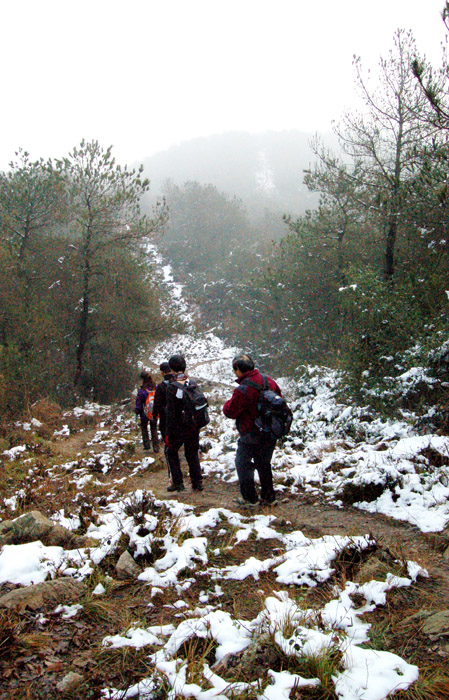 ڷ2011 (27).jpg