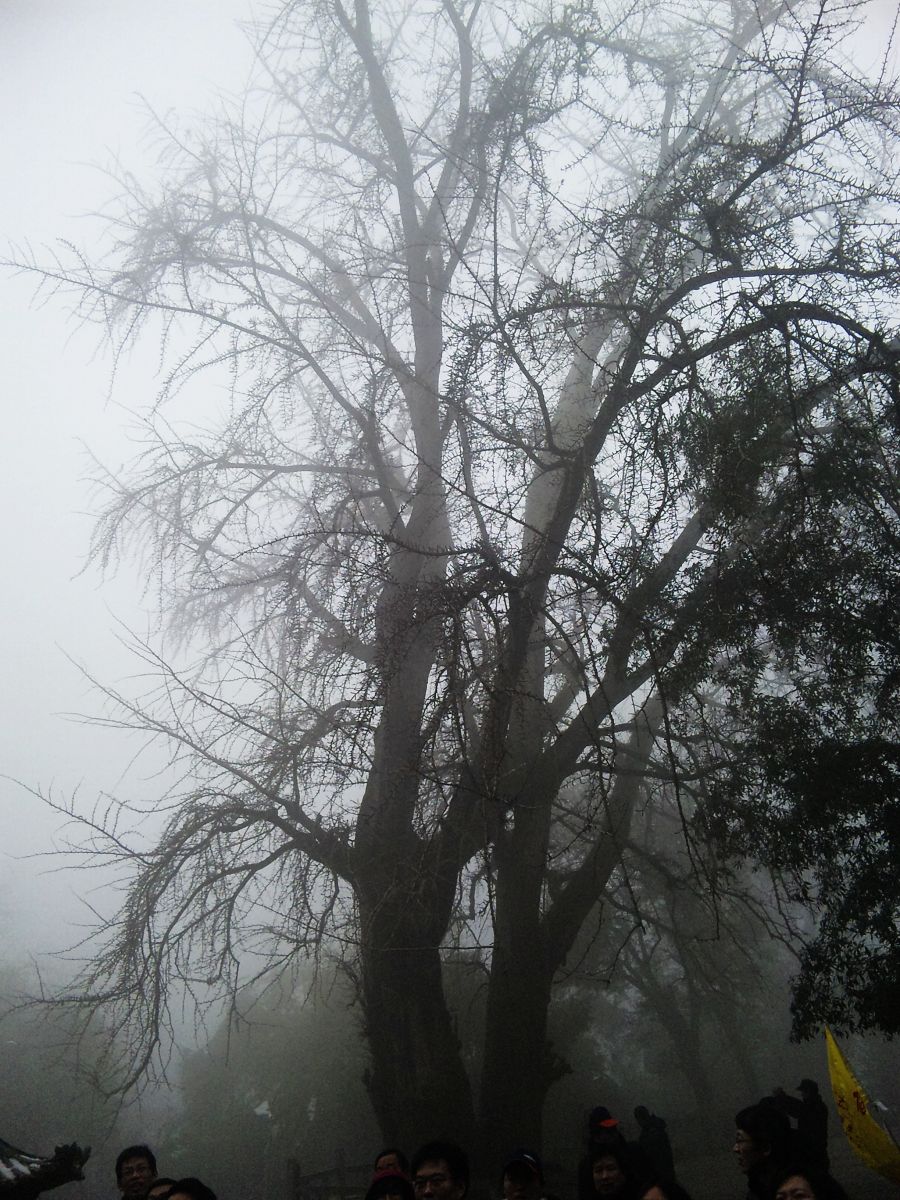 neo_img_dvc00057.jpg