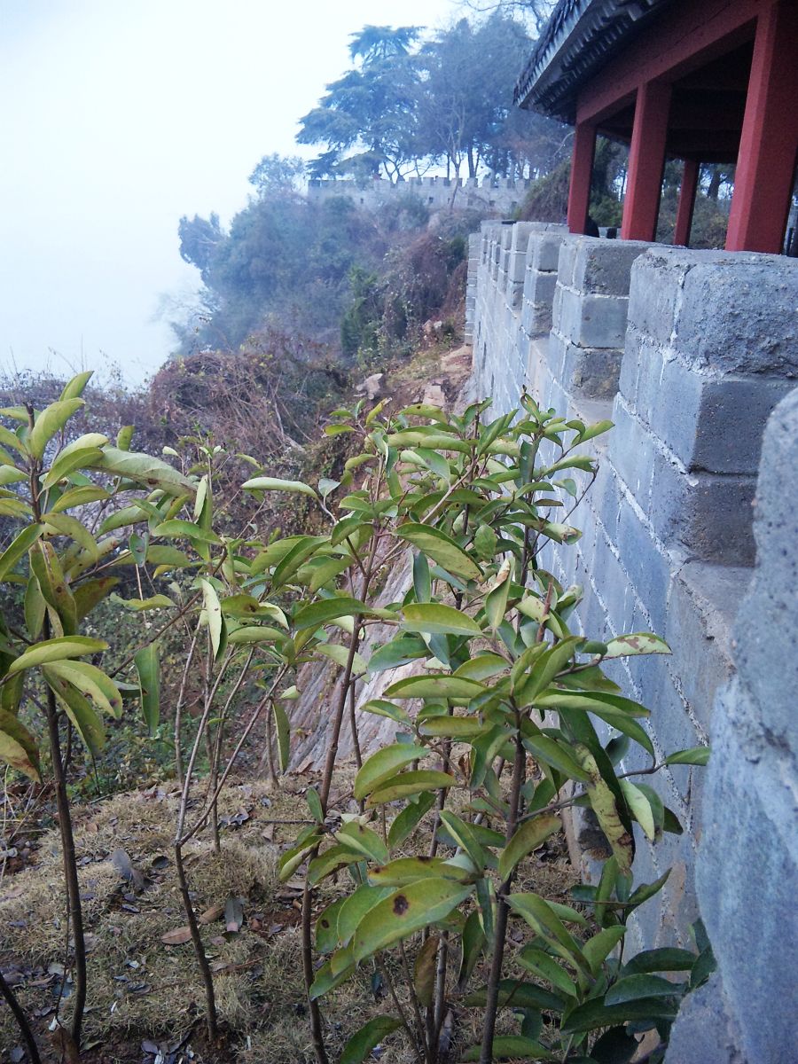 neo_img_dvc00104.jpg