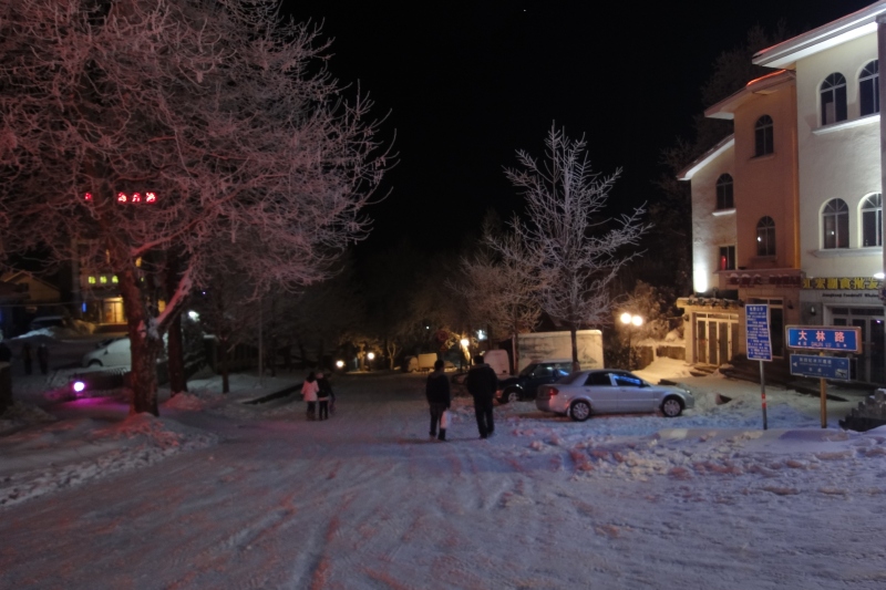 dsc04323.jpg