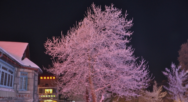 dsc_0013.jpg