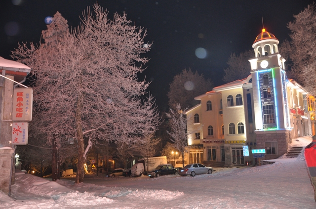 dsc_0014.jpg