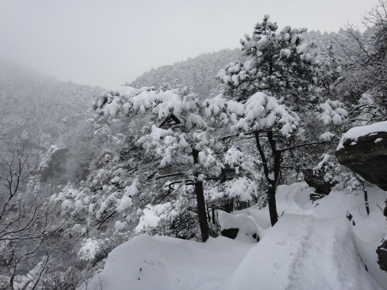 dsc03500.jpg
