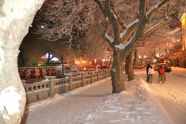 dsc_0026.jpg