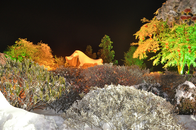 dsc_0041.jpg