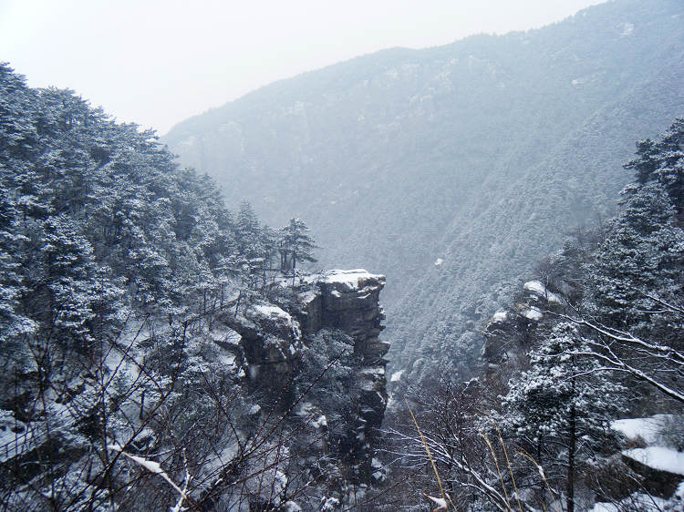 dscf1947.jpg