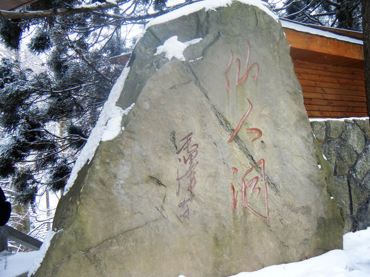 dscf1953.jpg