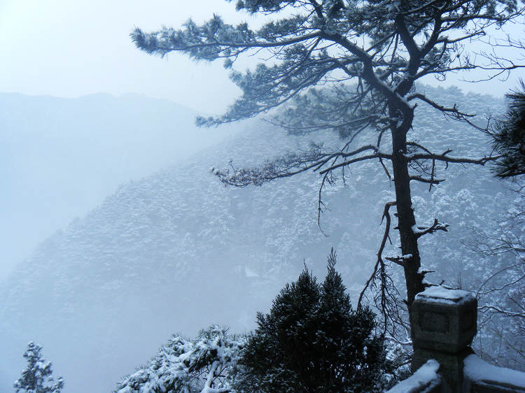dscf1957.jpg