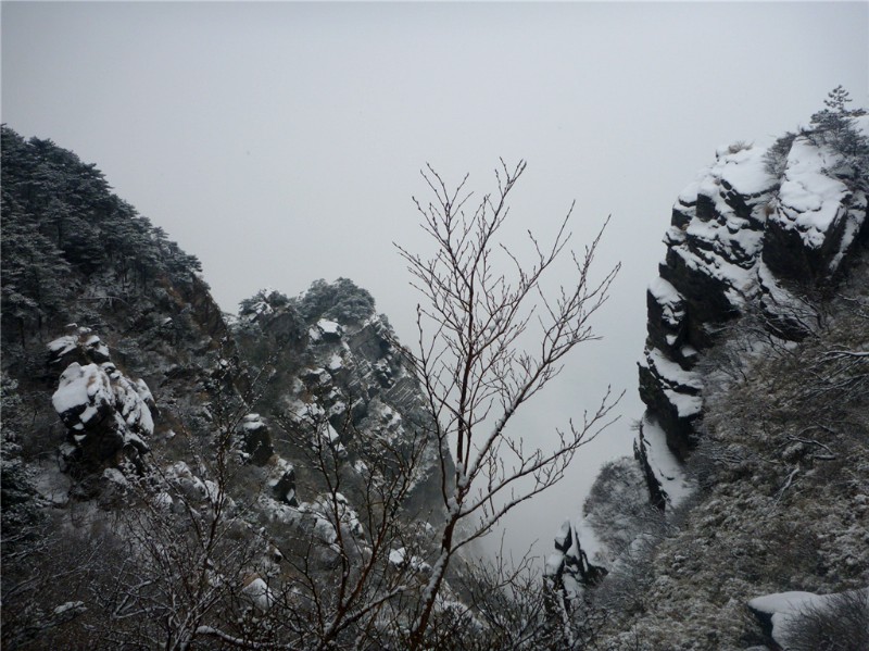 p1040395_.jpg