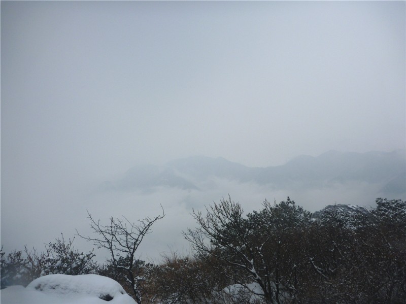 p1040385_.jpg