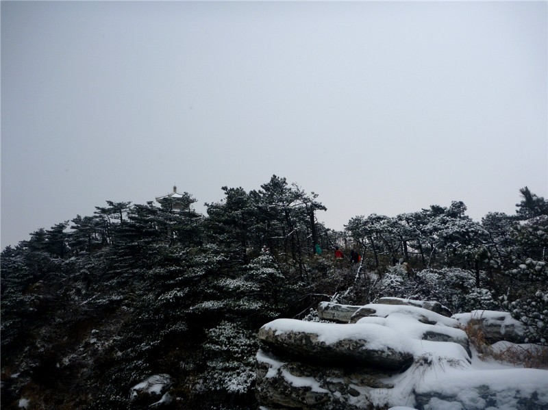 p1040420_.jpg