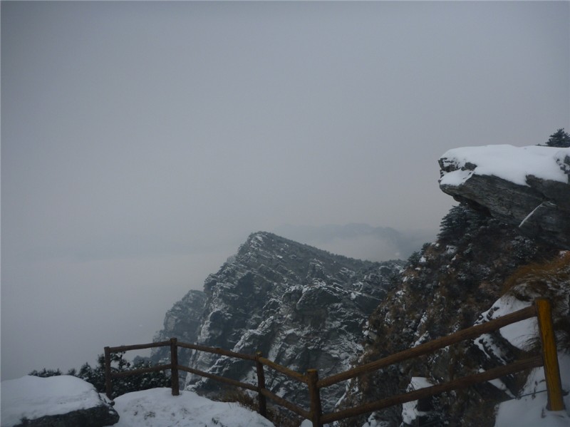 p1040419_.jpg