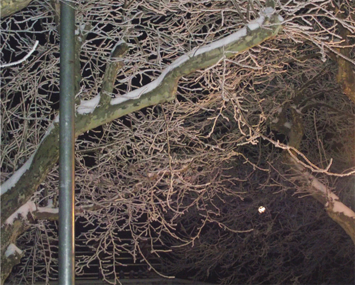 2011_01230017_.jpg
