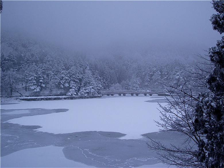 2011_01230052_.jpg