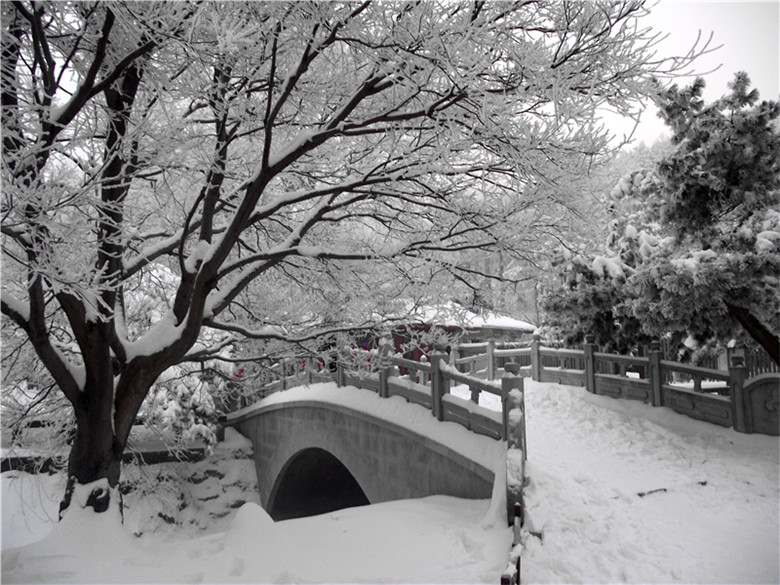 2011_01230096_.jpg