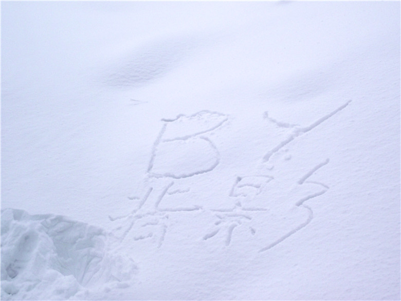 2011_01230113_.jpg