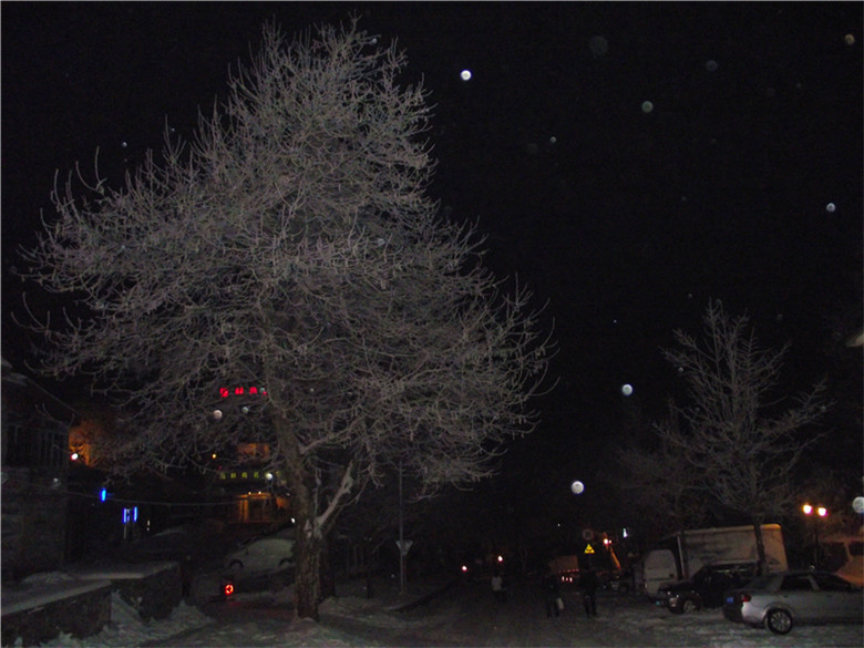 2011_01230011_.jpg