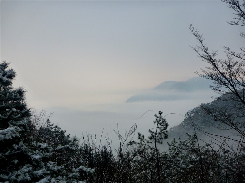 p1040437_.jpg