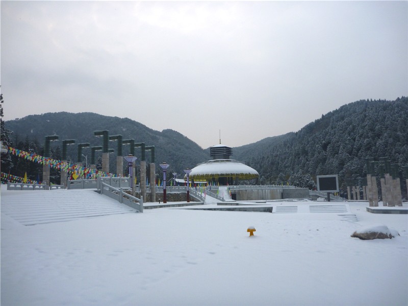p1040433_.jpg