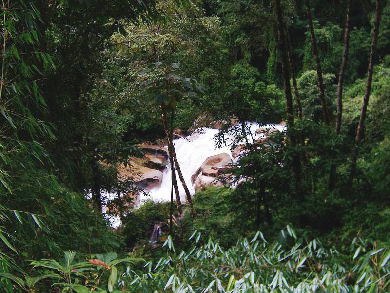 100_9442.jpg