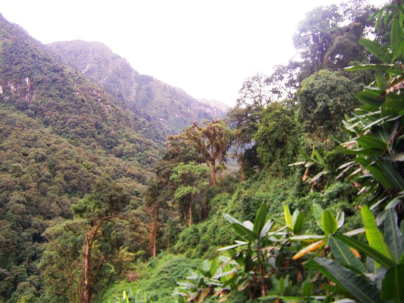 100_9444.jpg