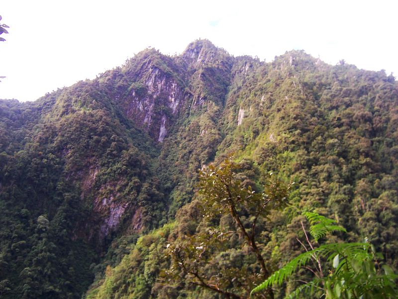 100_9448.jpg