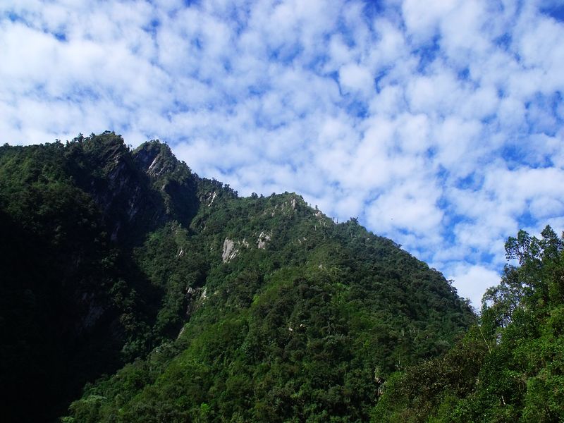 dscf9114.jpg