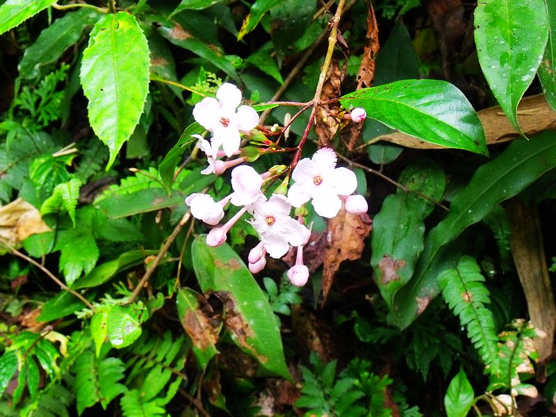 dscf9120.jpg