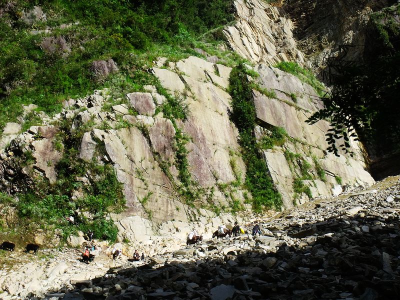 dscf9116.jpg
