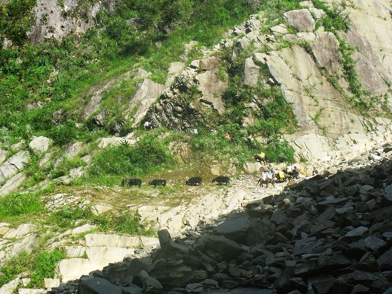dscf9115.jpg