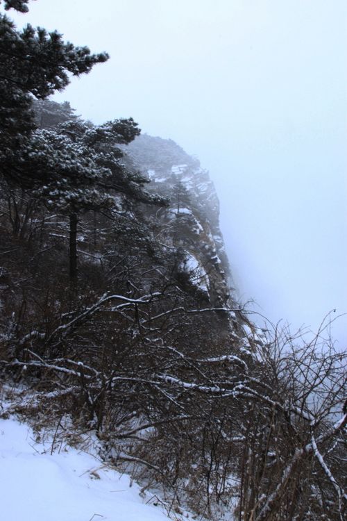 img_6709̲n.jpg