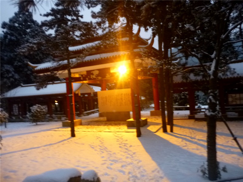 p1040454_.jpg