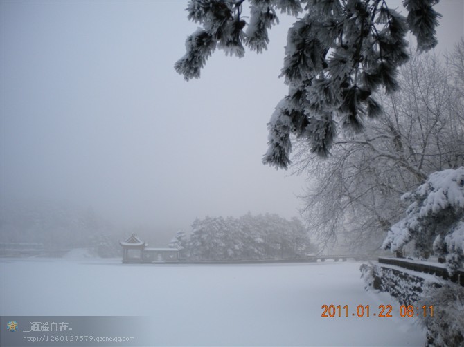 20111261663988299.jpg