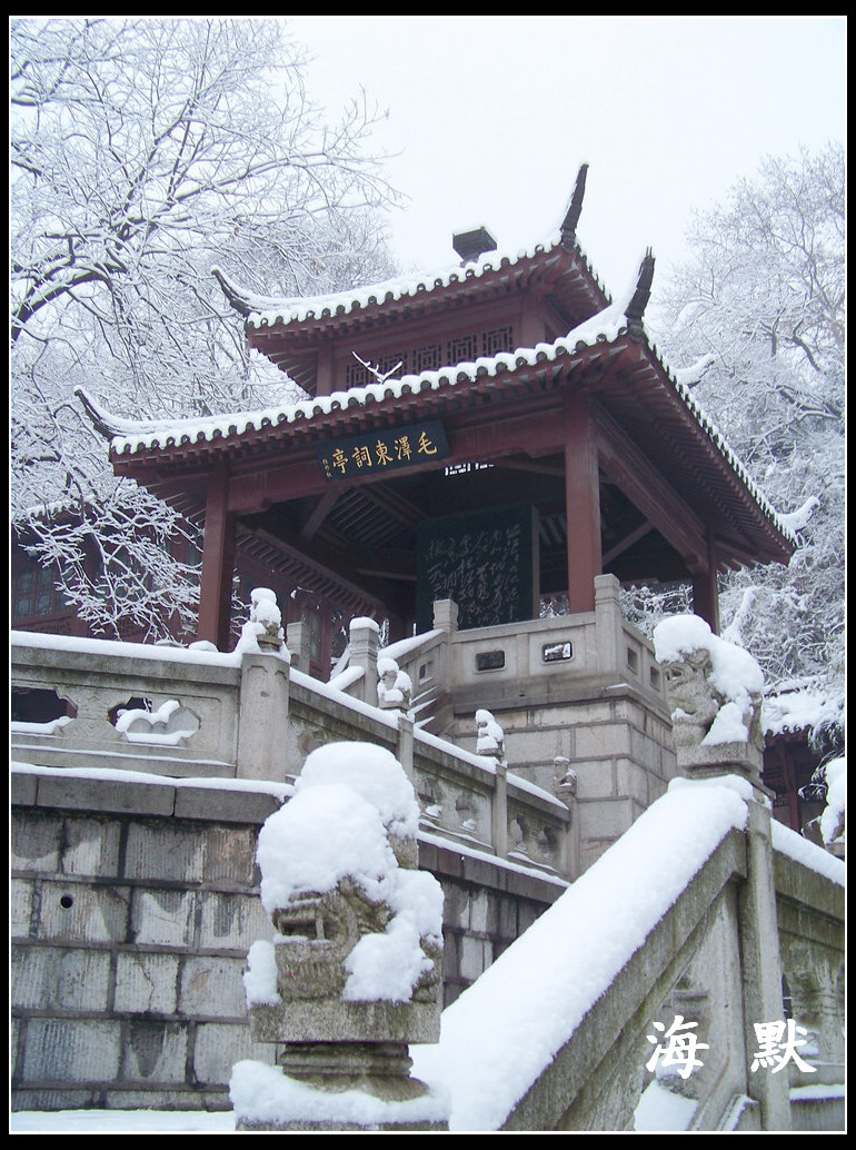 20110120ƺ¥aϾ (17).jpg