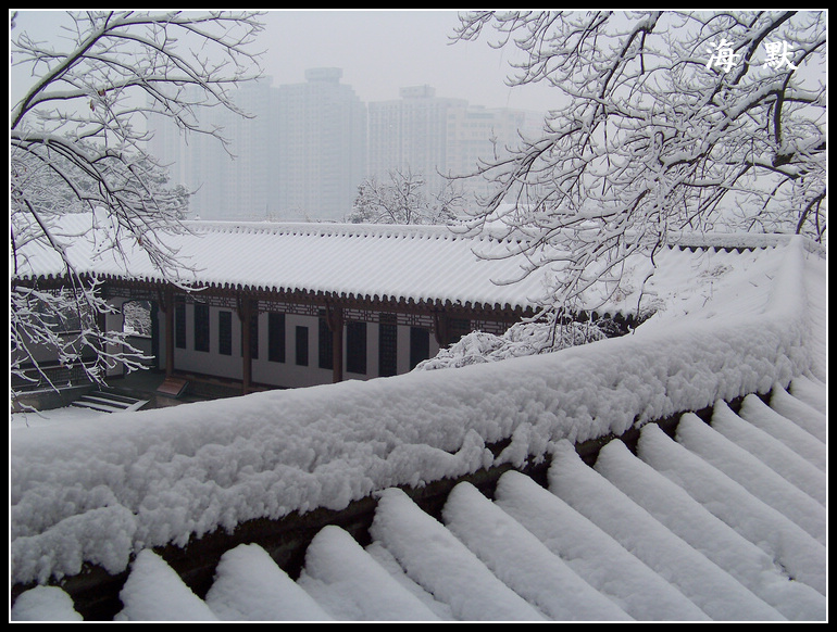 20110120ƺ¥aϾ (18).jpg