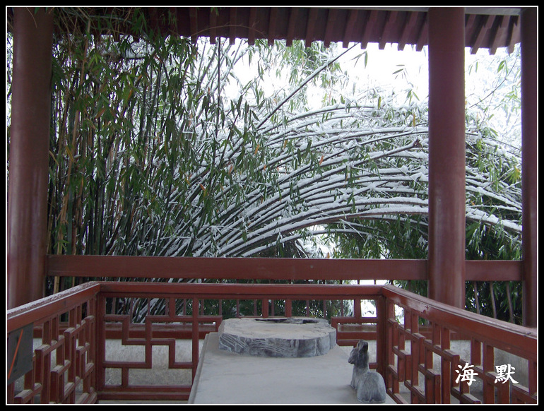 20110120ƺ¥aϾ (21).jpg
