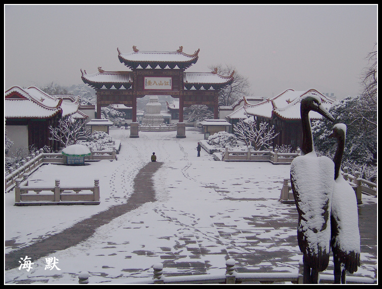 20110120ƺ¥c (16).jpg