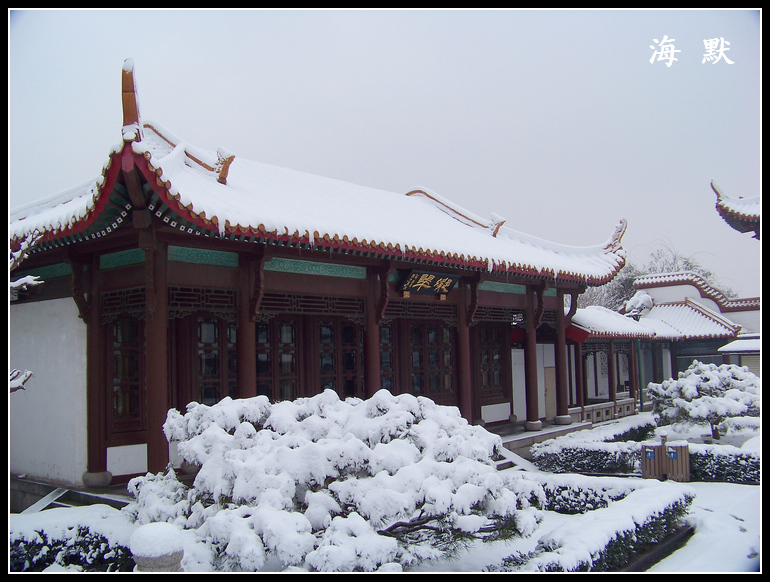 20110120ƺ¥c (18).jpg