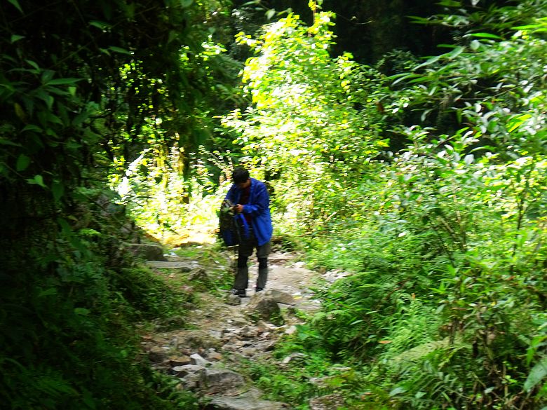 dscf9131.jpg