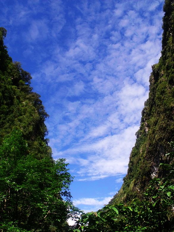 dscf9132.jpg